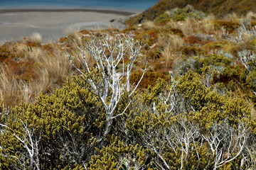 Tongariro National Park in Neuseeland