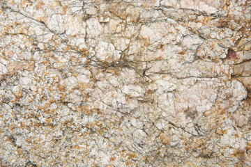 surface texture of the stone