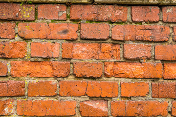 Texture, background. Old red brick wall, in the rain, destroyed by time