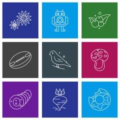 User interface Icon set for web and mobile applications