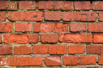 Obraz premium Texture, background. Old red brick wall, in the rain, destroyed by time