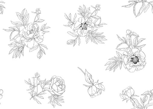 Peony flowers. Seamless pattern, background. Outline hand drawing vector illustration. In botanical style Isolated on white background..