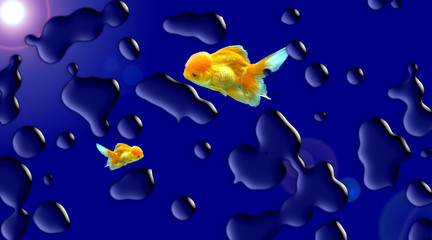 Pesci rossi in un acquario surreale © Franxuc