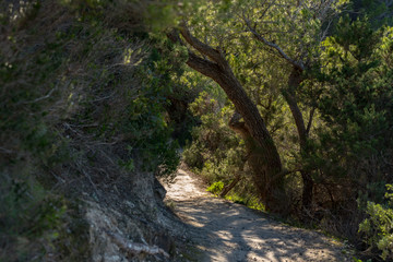 Turquoise waters in Es Portitxol, Ibiza, Spain. Hidden bay on the Island of Ibiza, in Sant Joan de Labritja.