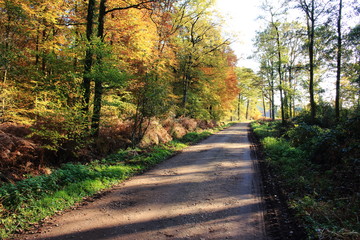 schöne Landstraße im Herbst