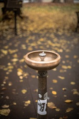 Naklejka premium Scene of yellow autumn park in Portland