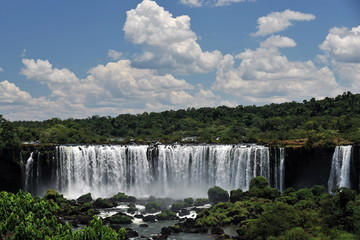 Fototapeta premium Iguazu Falls on the border of Brazil and Argentina.