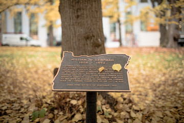 Scene of yellow autumn park in Portland downtown