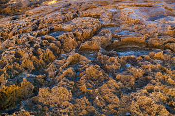 The stony coast of Gozo