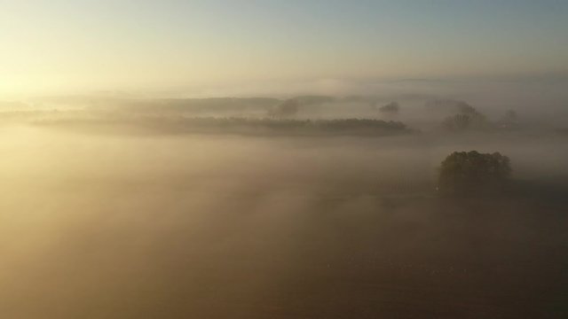 Morgendlicher Flug &uuml;ber Felder im Nebel 