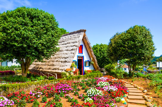 Amazing traditional houses in Santana, Madeira, Portugal. Wooden, triangular houses represent a part of Portuguese heritage. Front garden with beautiful colorful flowers. Tourist landmark