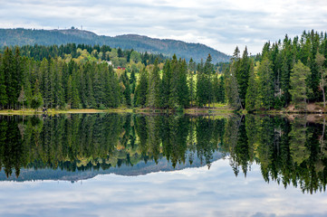 Forest reflected in the lake. Norwegian landscape.
