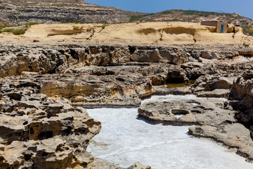 The stony coast of Gozo