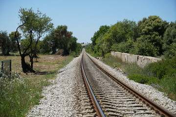 Fototapeta premium An old railroad facility with partially rotted railroad wagons
