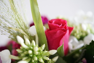 Blumenstrauß