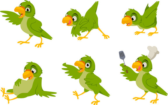 Vector illustration of a cute parrot or bird in various poses