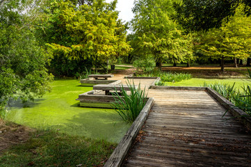 Beautiful park in Houston. Texas. United States