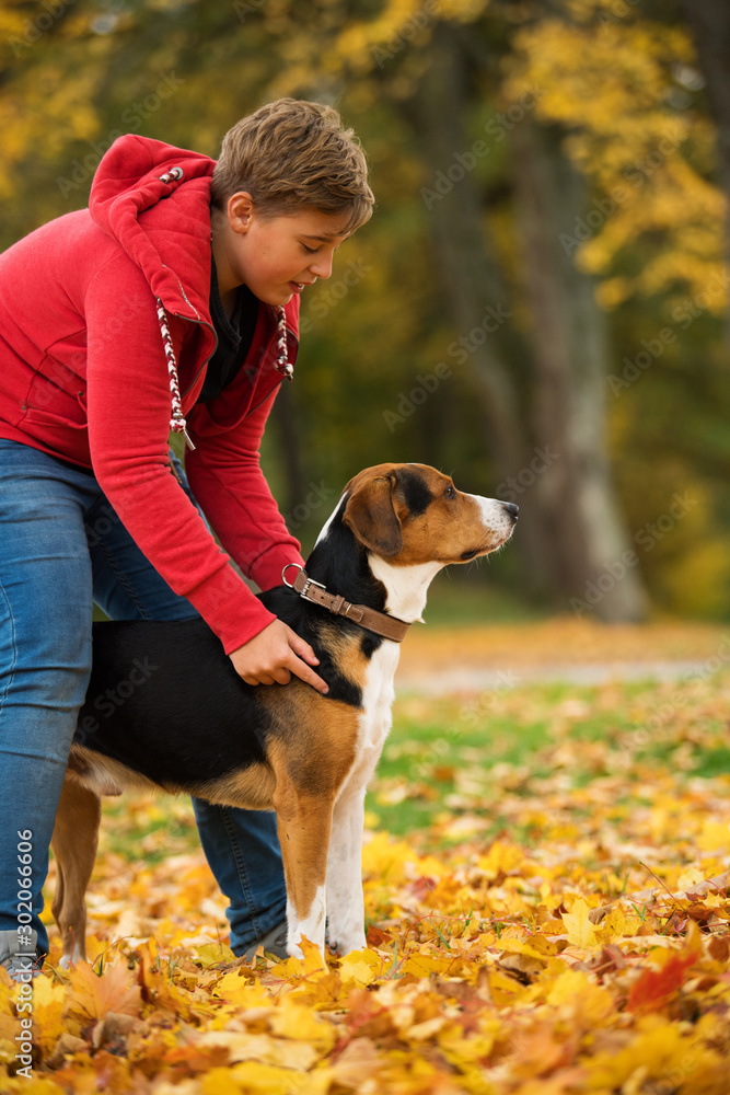 Wall mural boy with a mixed breed dog