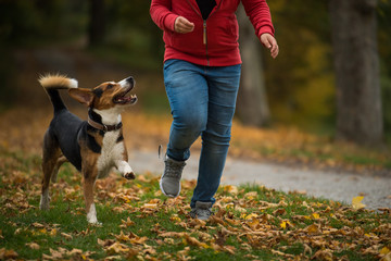 Naklejka na ściany i meble Boy running with dog in autumn landscape