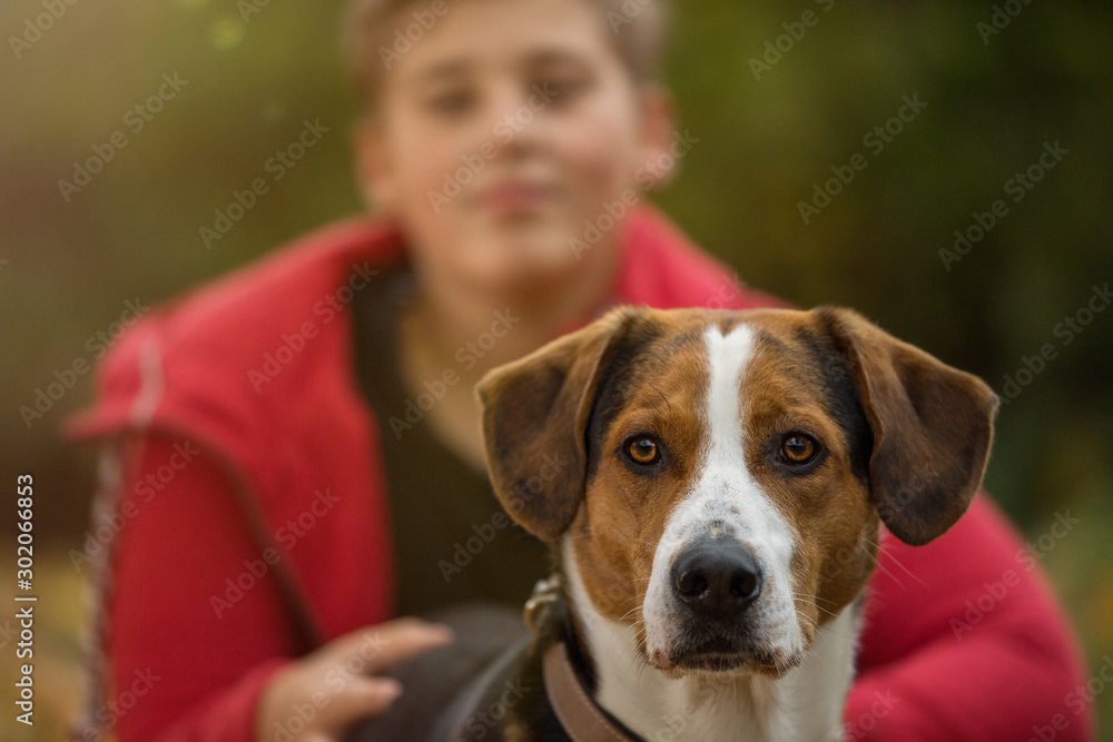 Wall mural Boy with a mixed breed dog