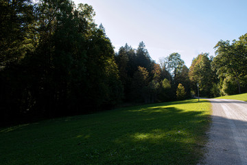 Garden Linderhof Path with Trees