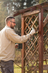 Mężczyzna w ogrodzie maluje na brązowo drewniane deski mebla ogrodowego. Odnawianie i  konserwacja pergoli ogrodowej.