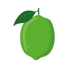 Vector illustration of a funny lime in cartoon style.