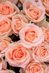Fototapeta premium Bouquet of delicate roses . A background of floral roses. Beautiful flowers. A gift for the holiday. Fresh flowers.