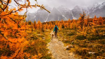 Woman Walking Dog Down Beautiful Mountain Path in Autumn Winter With Snowy Peaks Outdoors - obrazy, fototapety, plakaty