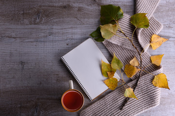 Branch with autumn yellow and green leaves with scarf, notepad and tea on light wooden background. Autumn composition
