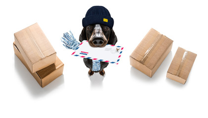 dog mail deliver   postal post man
