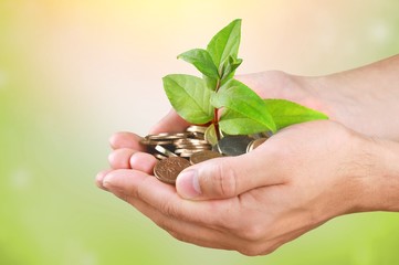 Green Growing Plant in Human Hand  soil made of coins on background