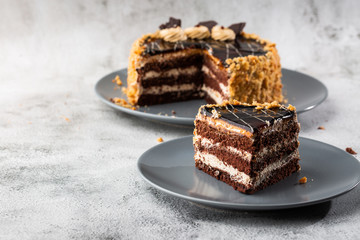 Delicious chocolate cake with white coconut cream on plate on table on marble background. Wallpaper for pastry cafe or cafe menu. Horizontal