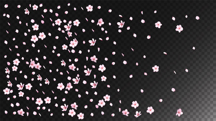 Nice Sakura Blossom Isolated Vector. Beautiful Flying 3d Petals Wedding Pattern. Japanese Beauty Spa Flowers Illustration. Valentine, Mother's Day Tender Nice Sakura Blossom Isolated on Black