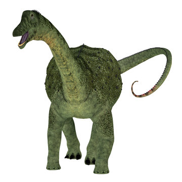 Saltasaurus Dinosaur on White - Saltasaurus was a herbivorous sauropod dinosaur that lived in Argentina during the Cretaceous Period.