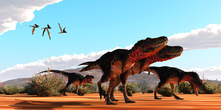 Tarbosaurus Dinosaurs Hunting - A flock of Thalassodromeus pterosaurs fly over a group of theropod Tarbosaurus dinosaurs on the hunt for prey.