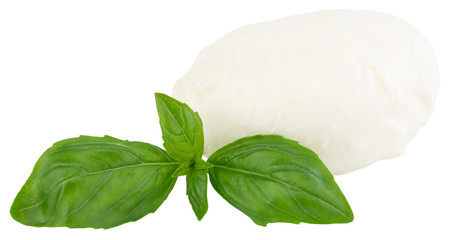 basil leaves isolated on white background with clipping path