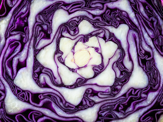  Red cabbage cut in half as a background