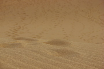 sand background