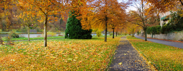 Park am Moselufer in Traben-Trarbach  Panorama im Herbst