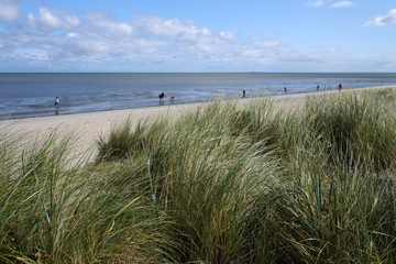 Hundestrand bei Schillig an der Nordsee im Nationalpark Wattenmeer mit hohem Gras auf Düne und...