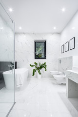 Luxury white bathroom