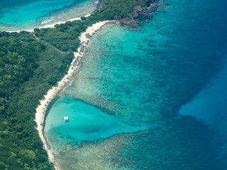 coral reef in the Caribbean sea © William