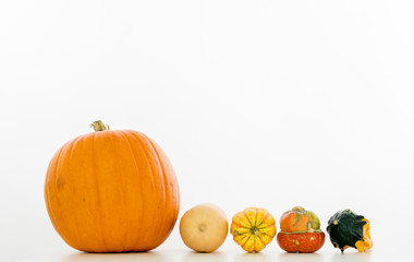 Verschiedene Kürbissorten in einer Reihe