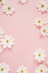 Fototapeta na wymiar Minimal styled concept. White daisy chamomile flowers on pale pink background. Creative lifestyle, summer, spring concept. Copy space, flat lay, top view.