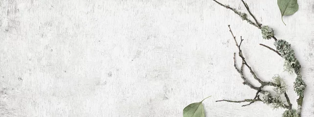 minimalistisches, natürliches Winterbanner im skandinavischen Stil mit Waldelementen wie Zweigen, Flechten und trockenen Blättern auf einem beunruhigten weißen Holzhintergrund, flache Lage / Draufsicht © Anja Kaiser