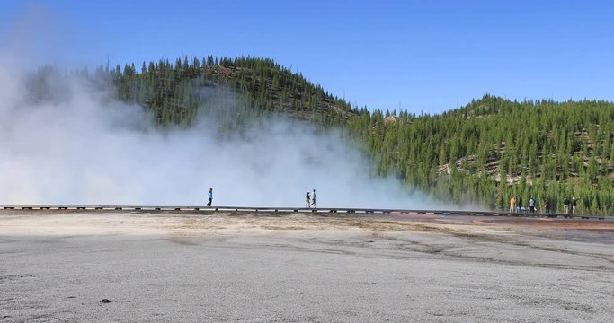 Yellowstone National Park tourist boardwalk over steam geysers. Geyser Yellowstone National Park in Wyoming, United States. Highly predictable geothermal ecosystem. Biology geography and ecology.