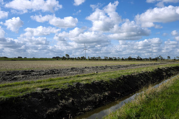 Fototapeta premium Deichhinterland im Harlinger Land bei Harlesiel in Niedersachsen an der Nordseeküste - StockfotoeG