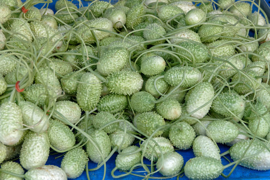 Le concombre piquant au marché aux légumes de Cayenne en Guyane française