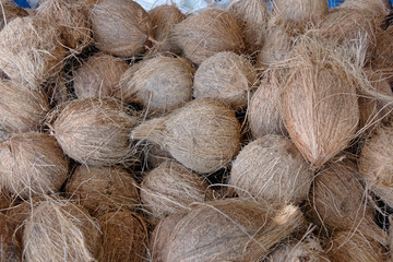 noix de coco sur le marché aux légumes de Cayenne en Guyane française